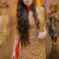 Chiffon fancy 3 piece dress