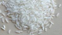 INDIAN LONG GRAIN WHITE RICE  RICE 5% BROKEN RICE 