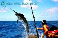 Best adventure activities of Andaman Holidays- Amazing attractions with discount deals