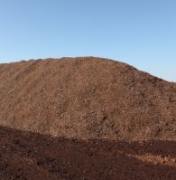 Natural Peat Moss