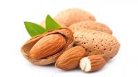 https://ar.tradekey.com/product_view/Delicious-Almonds-And-Dried-Fruit-For-Alimentary-Use-8617771.html