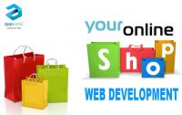 Online Web Portal Development