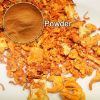 Pure Cordyceps - Happy and healthy every day!