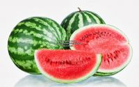 WATERMELON  [FOR SALE]