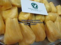 Vietnam Best Price Yellow Frozen Jackfruit / Best Jack Fruit