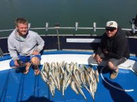 4 Hour Fishing Trips Melbourne | Reel Adventure Fishing Charters