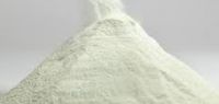 Skimmed Milk Powder