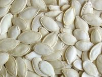 Pumpkin seeds shine skin in shell