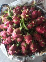 Fresh Dragon Fruit