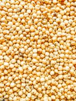 SORGHUM FOR SALE