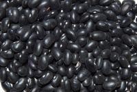 Black Kidney Bean