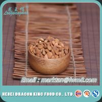 2016 Crop Bitter Apricot Kernels Made In China