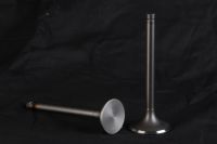 Engine Valve for engineering vehicles, cars, trucks, vans and other vehicles