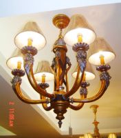 Indoor  Lamps