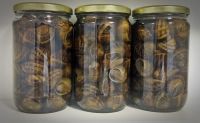 Snail cooked preserved in brine