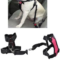 Pet Dog Car Safety Harness With Adjustable Leash Rope