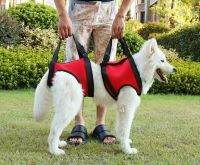 Older dog and Hurt dog Helping Walking belt harness
