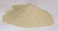 Typhonium Flagelliforme Powder/capsule