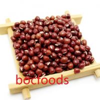 Red adzuki beans/Small red beans
