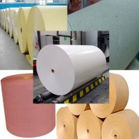 Specialty Paper  