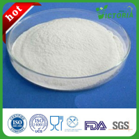 New Type Sweetener Sucralose Fine powder