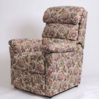 Dalerise Rise Recline Armchair - Button back