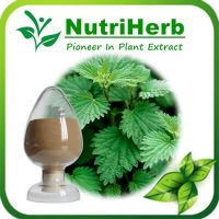 Natural Stinging nettle Extract/Stinging Nettle Root Extract Silica  -Sitosterols