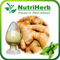 Natural Ginger root extract 1-20% Gingerols
