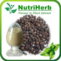 Natural Black Pepper Extract Powder 95% Piperine