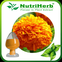 Marigold Extract Powder 5% -90% Lutein Zeaxanthin