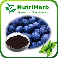 Instant Freeze Dried Wild Blueberry Powder/Blueberry Fruit Powder/Blueberry Extract Powder