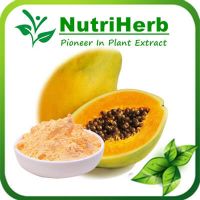 Dried Papaya Powder /Papaya Flavour Fruit Powder /Papaya Extract Powder
