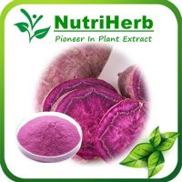 Purple Sweet Potato Extract Powder/ Purple Sweet Potato Powder/Sweet Potato Powder