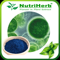 Blue Spirulina/ Chlorella Phycocyanin /Spirulina Extract Phycocyanin