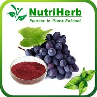 Natural Food Color Grape Skin Extract Color, Grape Skin Pigment , Grape Skin Red