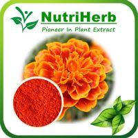 Natural Marigold Extract Powder 5% -90% Lutein Zeaxanthin