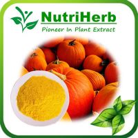 Dried Pumpkin Powder/Pumpkin Seed Extract / Pumpkin Seed Protein
