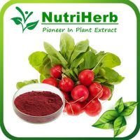 Natural Radish Red Pigment, Radish Red Color, Radish Red Extract Color