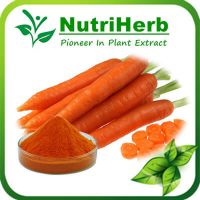 Natural Carrot Powder /Freeze Dried Carrot Powder/ Carrot Juice Powder Concentrate