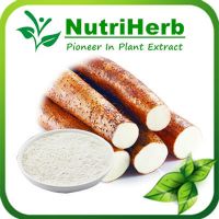 Natural Wild Yam Extract/Yam Powder/White Yam Powder/Yam Flour