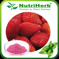 Strawberry Flavour Powder /Strawberry Fruit Juice Powder /Freezed Dried Strawberry Powder
