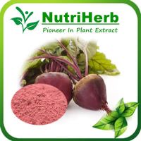 Dried Red Beet Root Powder/Red Beet Root Extract/Red Beet Concentrate Juice Powder