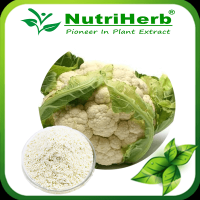Spray Dried & Freeze-Dried Broccoli Powder/Broccoli Fruit Powder/Dehydrated Broccoli Powder