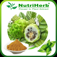 Natural Noni Fruit Extract/Noni Fruit Powder/Noni Powder