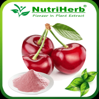 Dried Cherry Powder/Acerola Cherry Extract Powder/Acerola Fruit Juice Powder