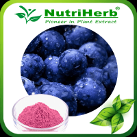 Blackberry Extract Powder/Blackberry Fruit Powder/Freeze Dried Blackberry Fruit Juice Powder