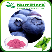 Bilberry Powder/Bilberry Juice Powder/Bilberry Flavor/Bilberry Extract Powder