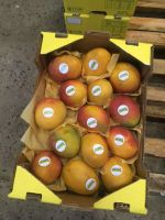 Lemons, oranges, pear, lime, avocado, mango. We are Suppliers of Fresh fruits and vegetables 
