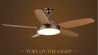 modern ceiling fan with led light