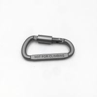 D Ring Shape Carabiner Spring Snap Key Chain Clip Hook Lock Outdoor Buckle